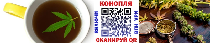 Купить закладки  Питкяранта  Cannafood конопля 
