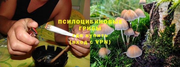 скорость Богородск