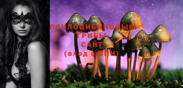 скорость Богородск