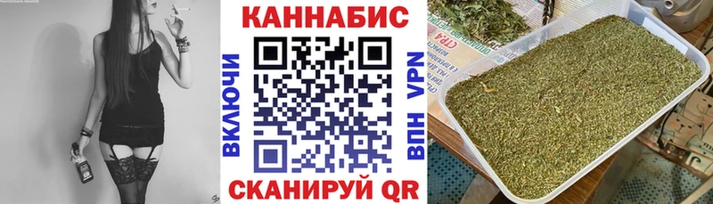 Купить закладки  Питкяранта  Каннабис OG Kush 